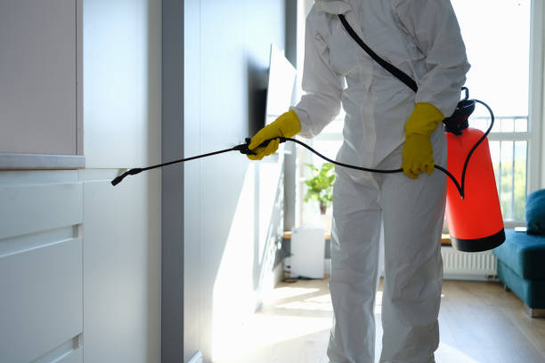 Best Kitchen Mold Remediation in Bushyhead, OK