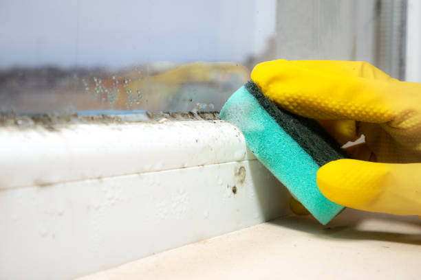 Bushyhead, OK Mold Remediation Company