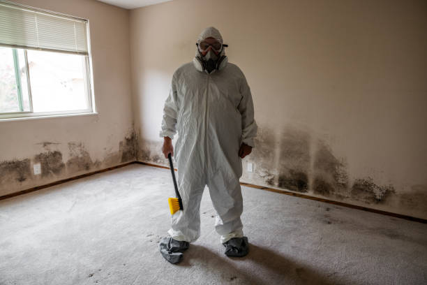 Best DIY Mold Remediation Support Services in Bushyhead, OK